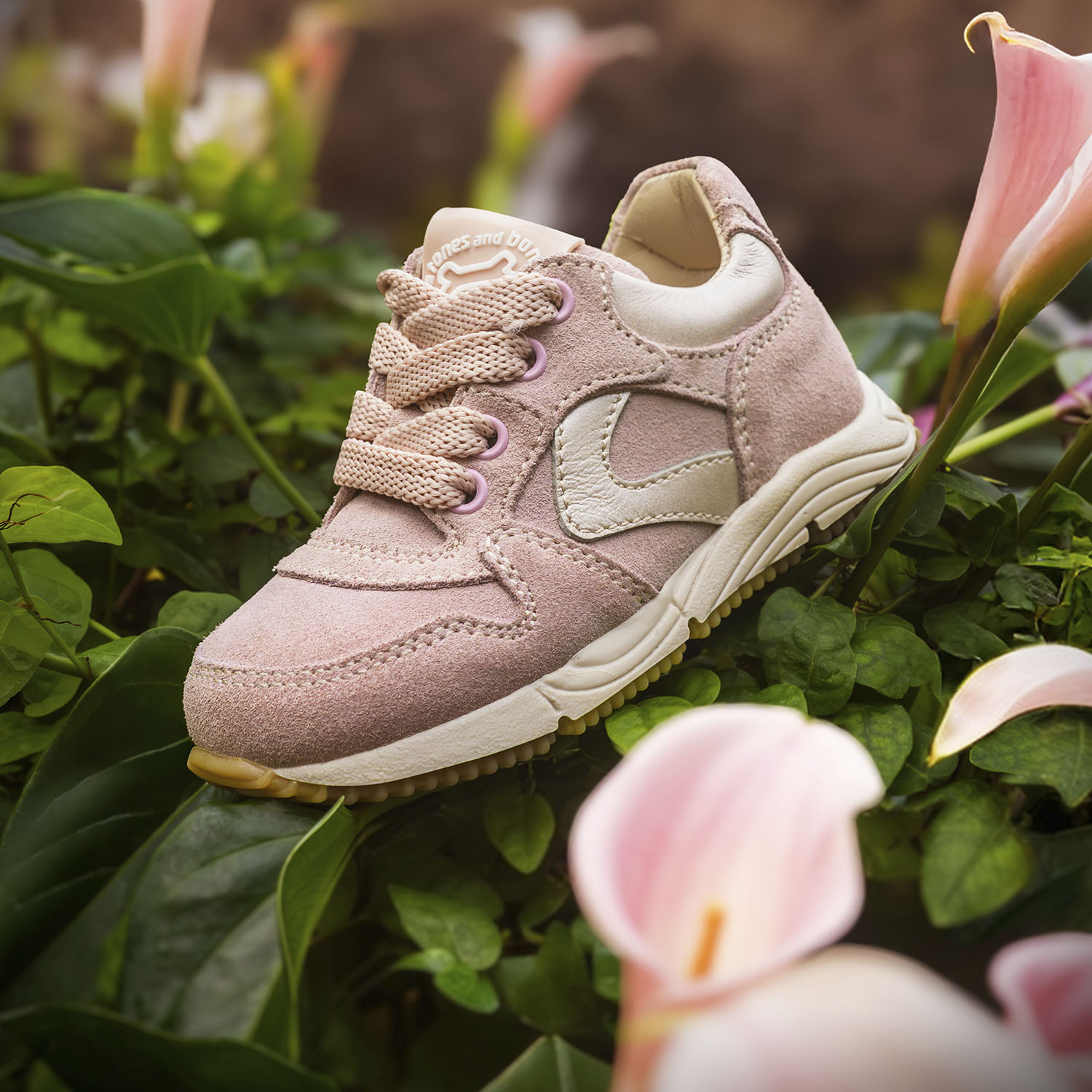 COLY crs l.rose + champagne