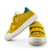 NOVEK crs o.yellow + forest