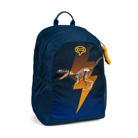 STONES and BONES | Back To School | Elan - ELECTRIFIED