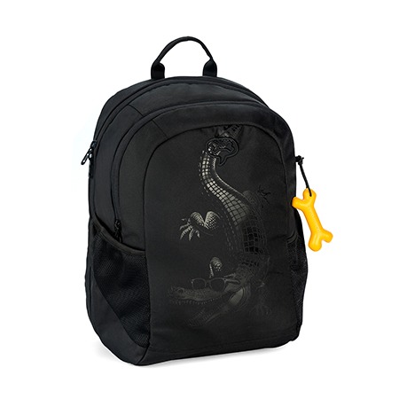 STONES and BONES | Back To School | Elan - CROC VIBES