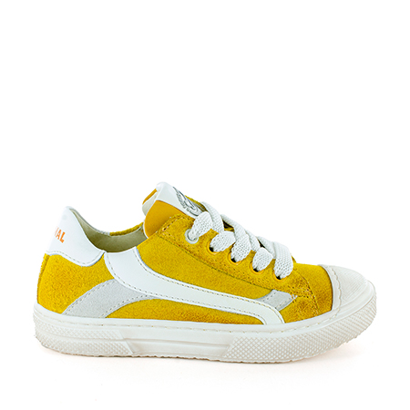 MAUST crs yellow + white