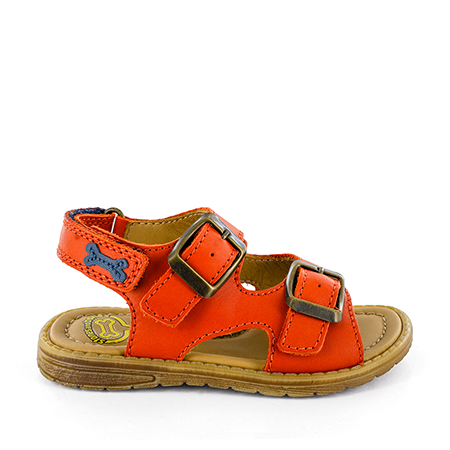 STONES and BONES | Shoes | DARDO